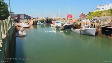 Bay Of Fundy Tides Timelapse Video