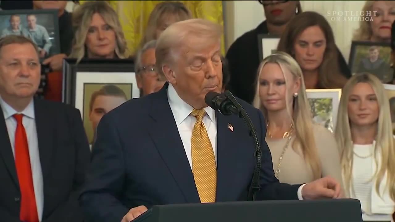 DEA seized nearly 30M fentanyl pills in 2025 - thats 218M deadly doses