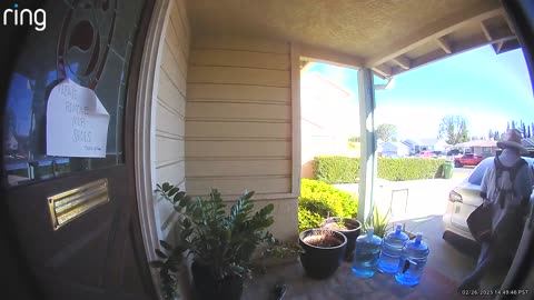 Kids Hand Scares Mailman