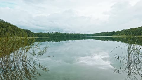 Calm Before the Storm at the Lake ¦ Nature Sounds for Sleep