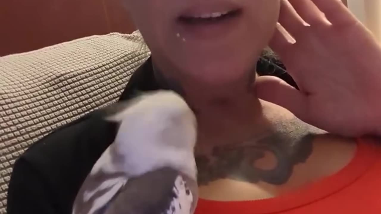 Trimming Wings