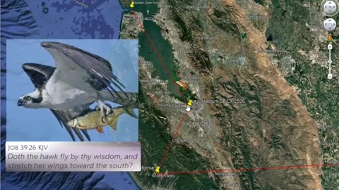 Superbowl is a Golden CALF. CALiFornia, the Golden State. Golden Gate. Inverted High Priest Ritual