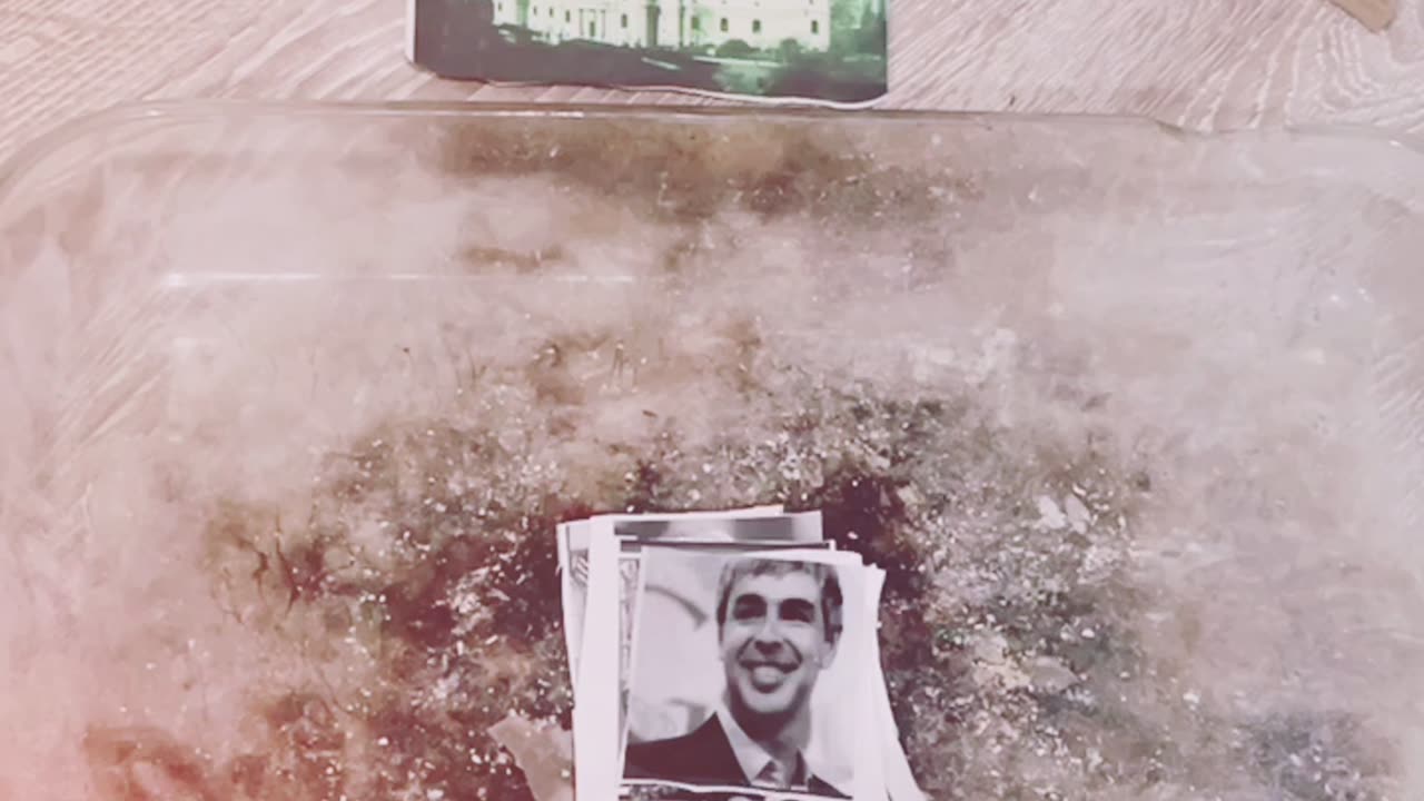 Tim Rifat TikTok Videos