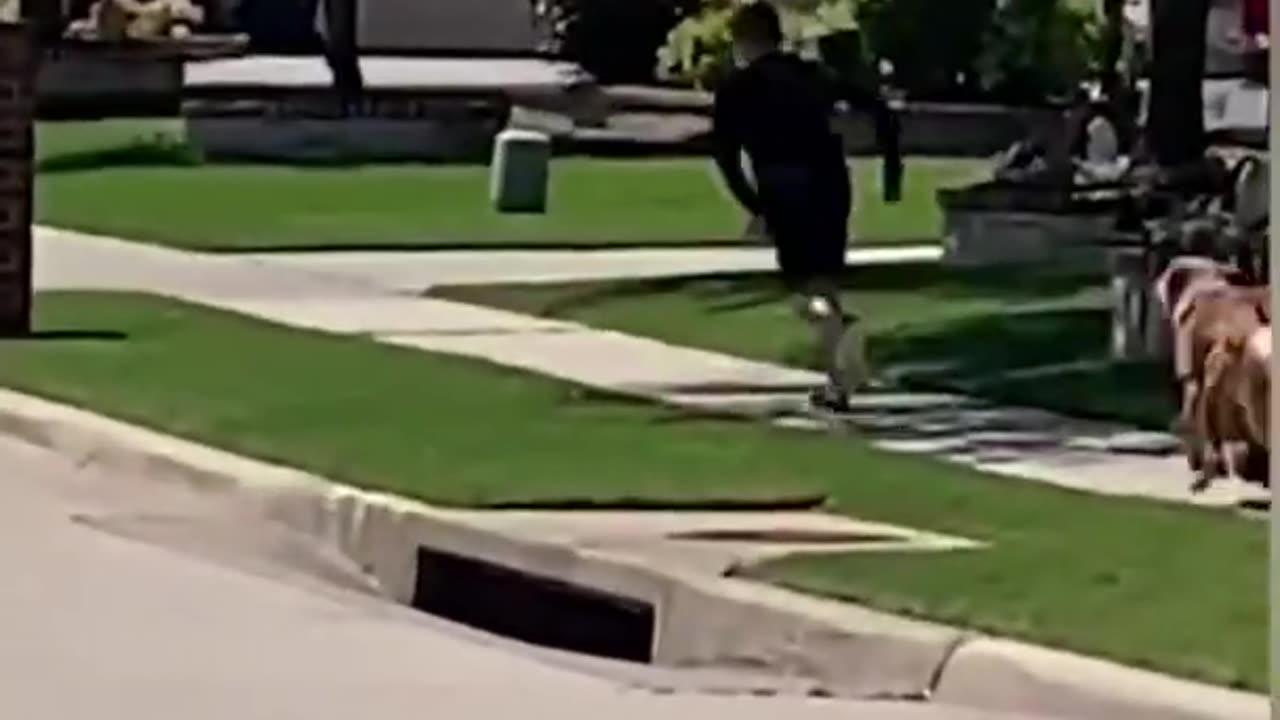 funny fails shorts videos