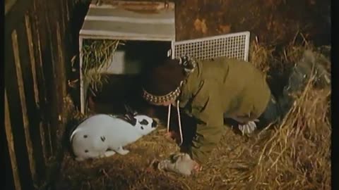 Saltkråkan 1963 d3e1