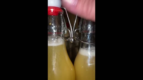 How to store your ginger bug in the fridge for a week