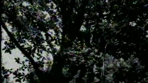 Horasan'dan Gelen Bahadır