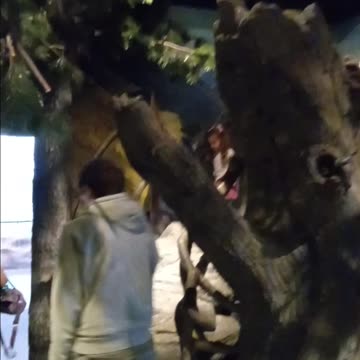 ID Museum - Idaho Falls