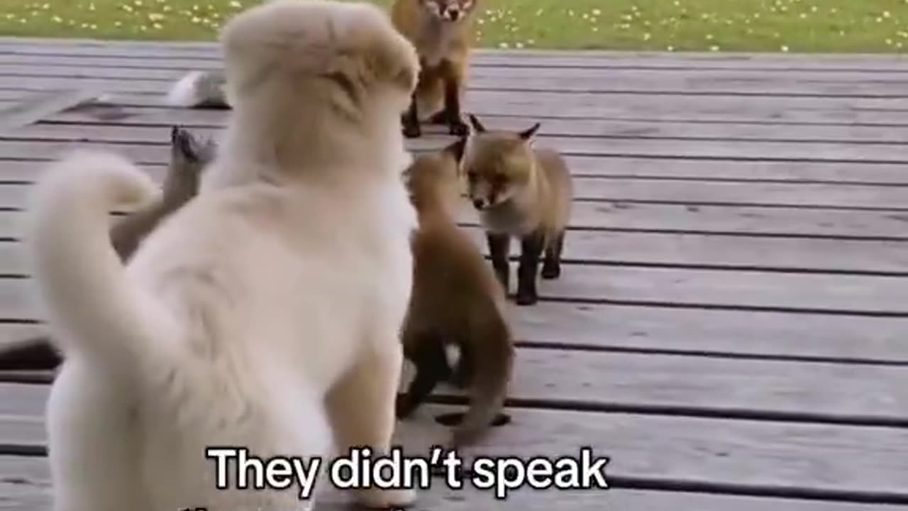 Woe Day 44. I am in the ark. Waiting for GOD to open the Door for a spring/summer Pentecost rapture