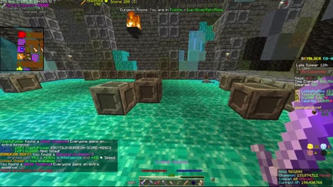 Skyblock FLOOR 7 [#2762]