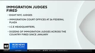 8 NYC immigration judges fired