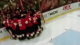 Florida panthers go back to back