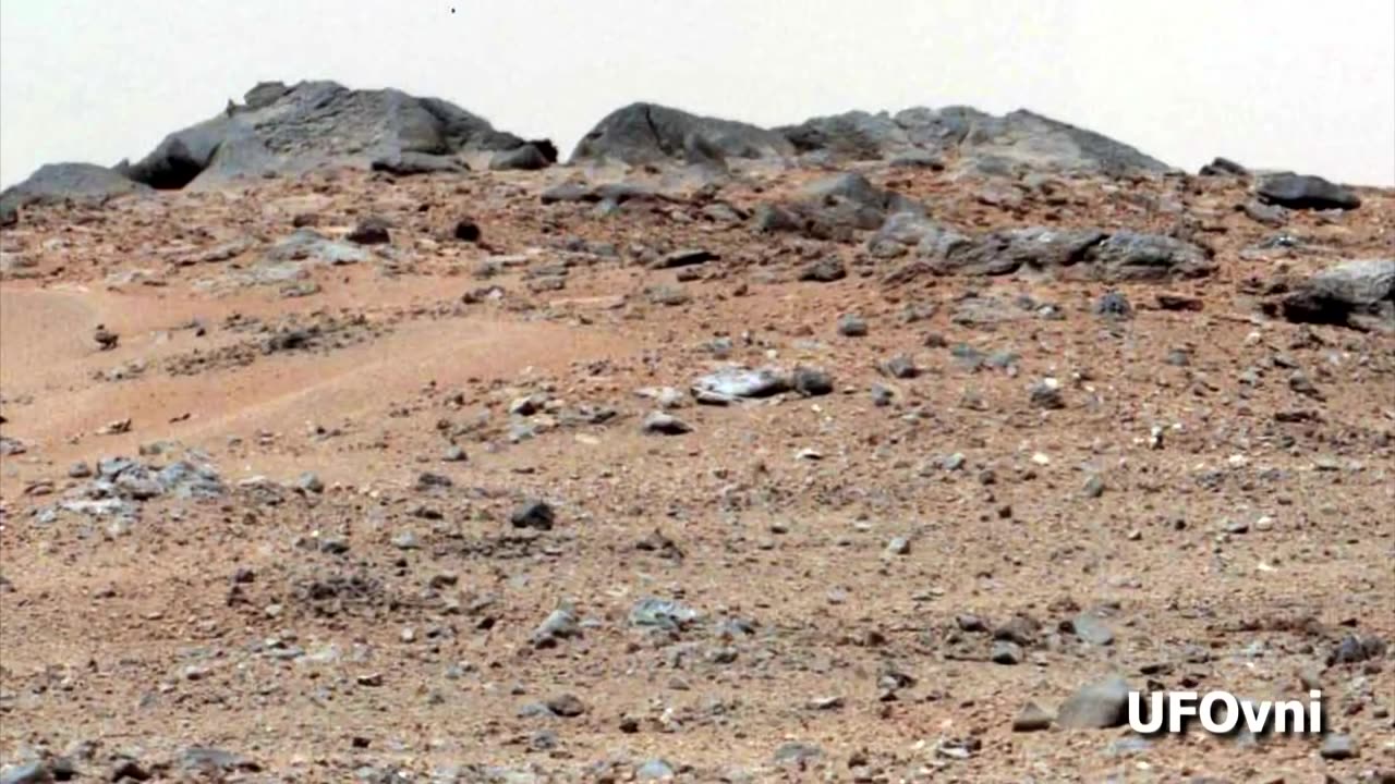 mars animals