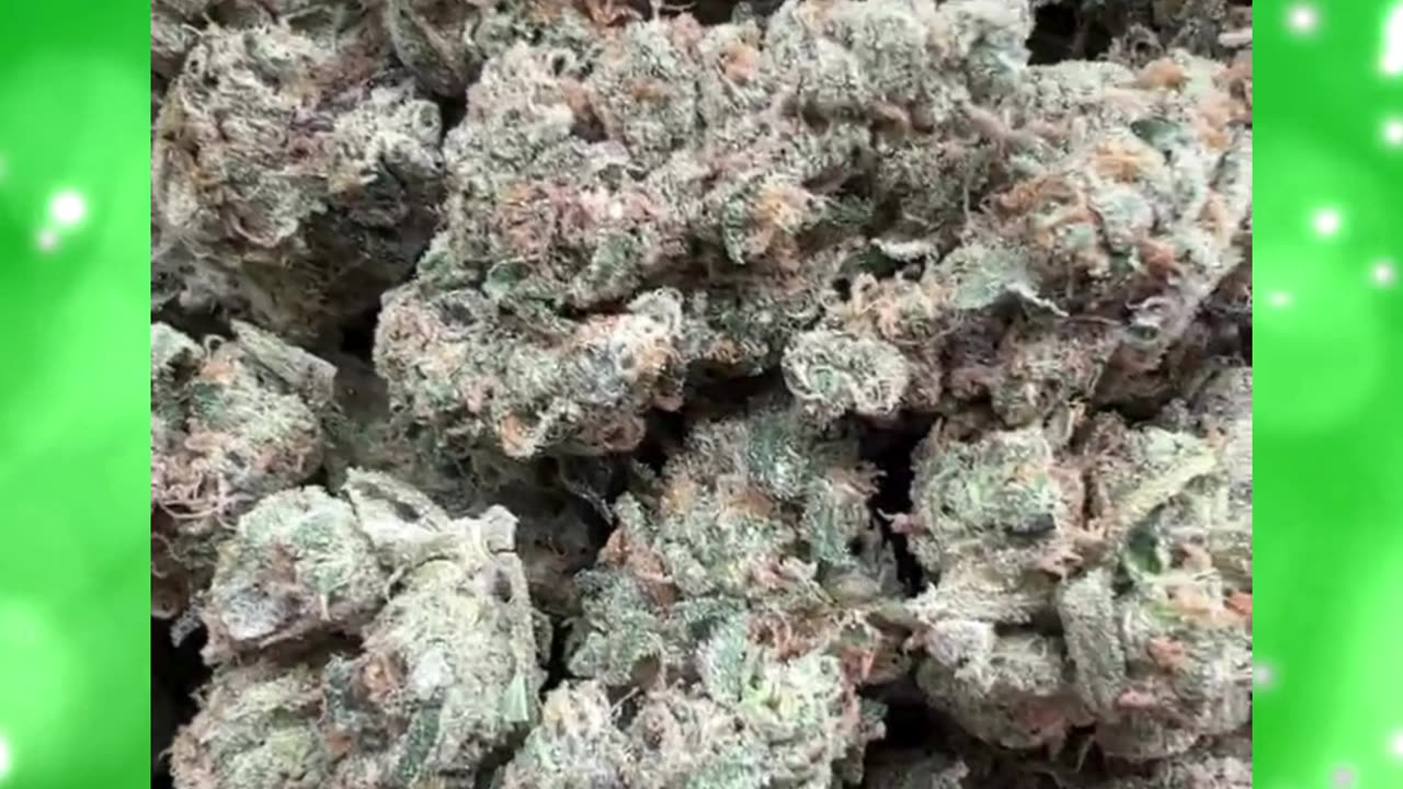 GMO (Garlic Cookies) | Exotic Indica | 29% THCa | Heavy, Sedating, Euphoric