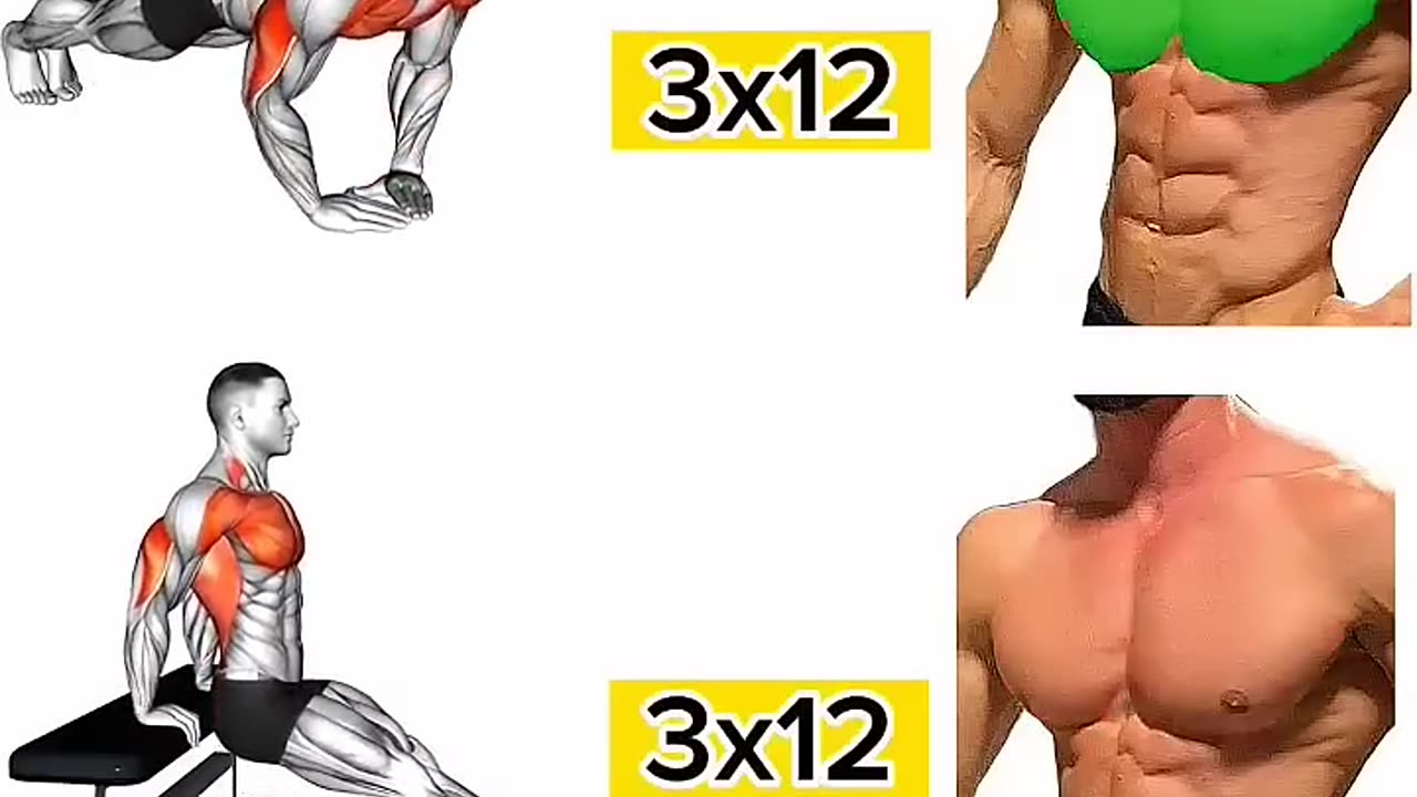 CHEST WORKOUTS