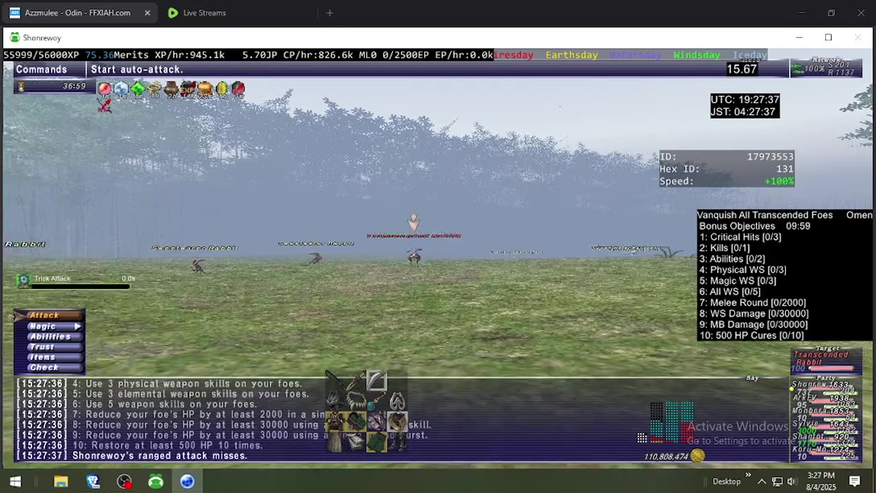 Playing Final Fantasy XI Online
