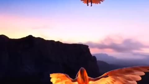 so beautiful