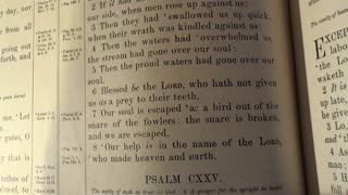 Thanksgiving is Forever