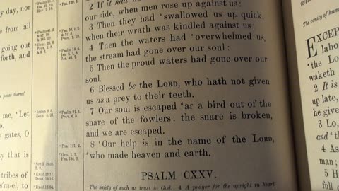 Thanksgiving is Forever