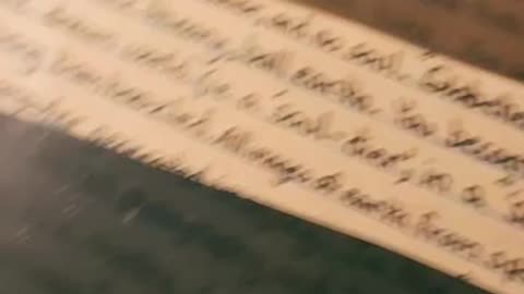 Blocked For Using The Word, "Globehead"