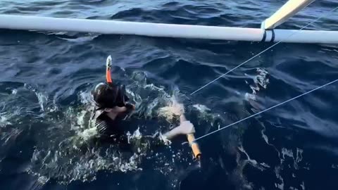 What’s Hiding Under the Ocean? Relaxing Dive Into Another World 🌊