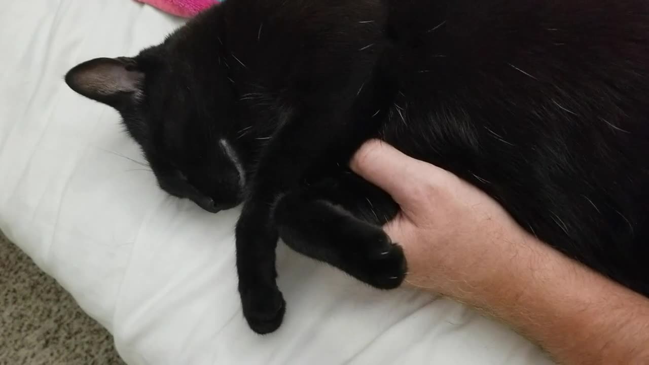 20250721 032855 Tux on Arm Zonked-Out