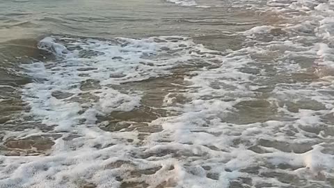 The shore of rough sea🌊