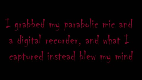 Bigfoot Vocals