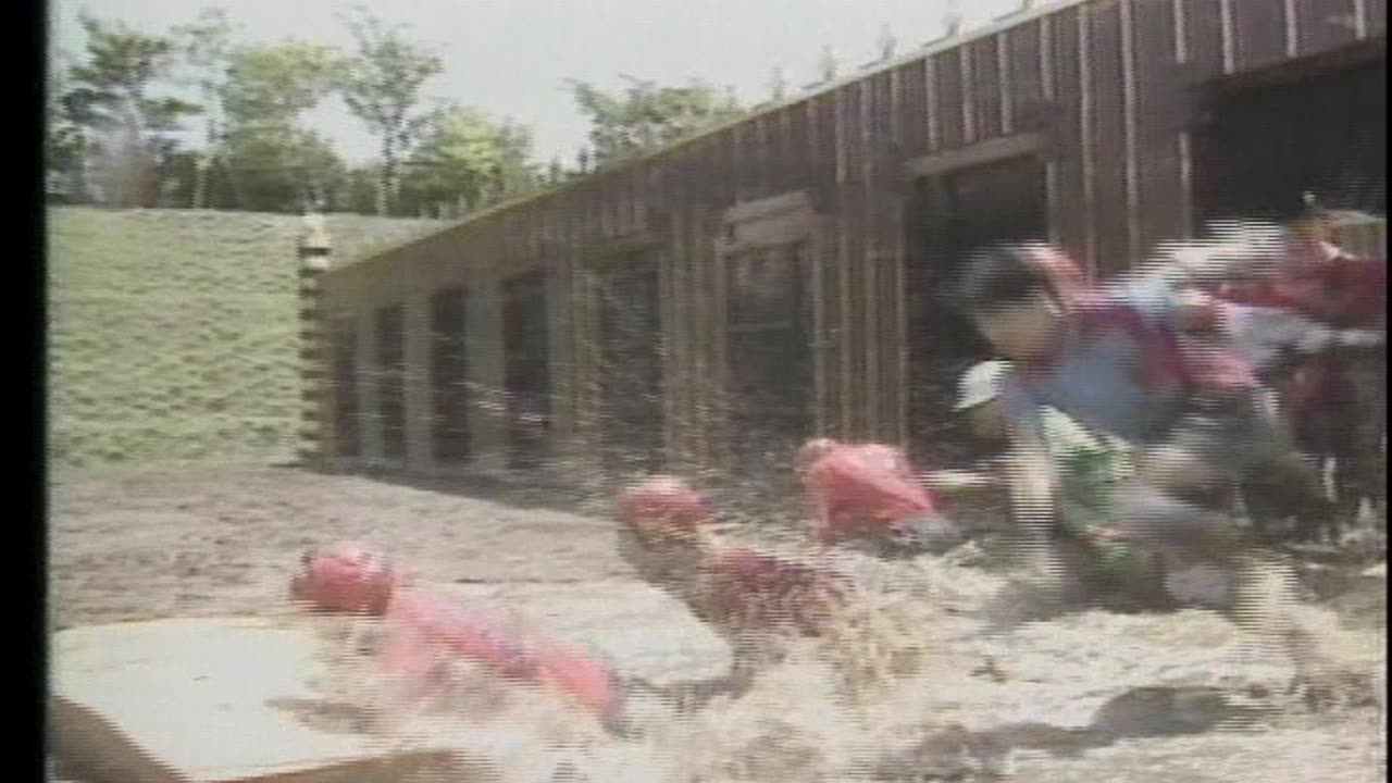 MXC Most Extreme Eliminatin Challenge