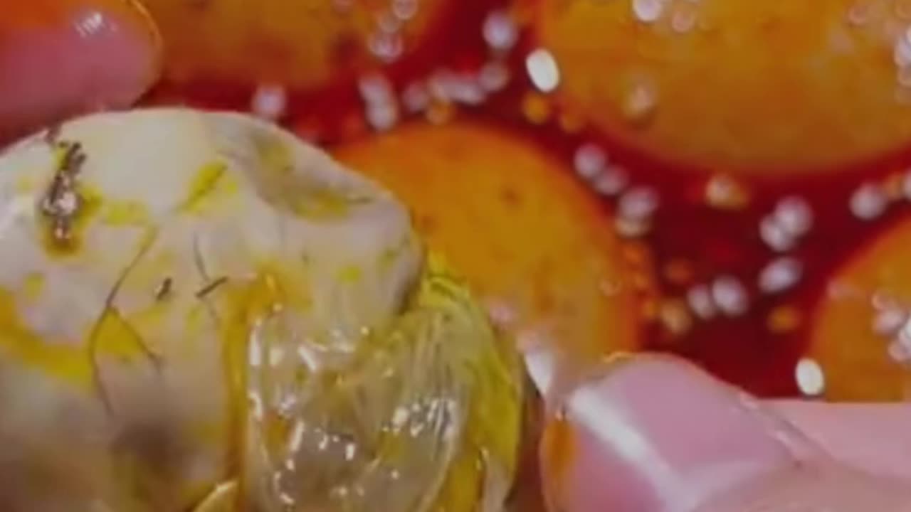chiness food