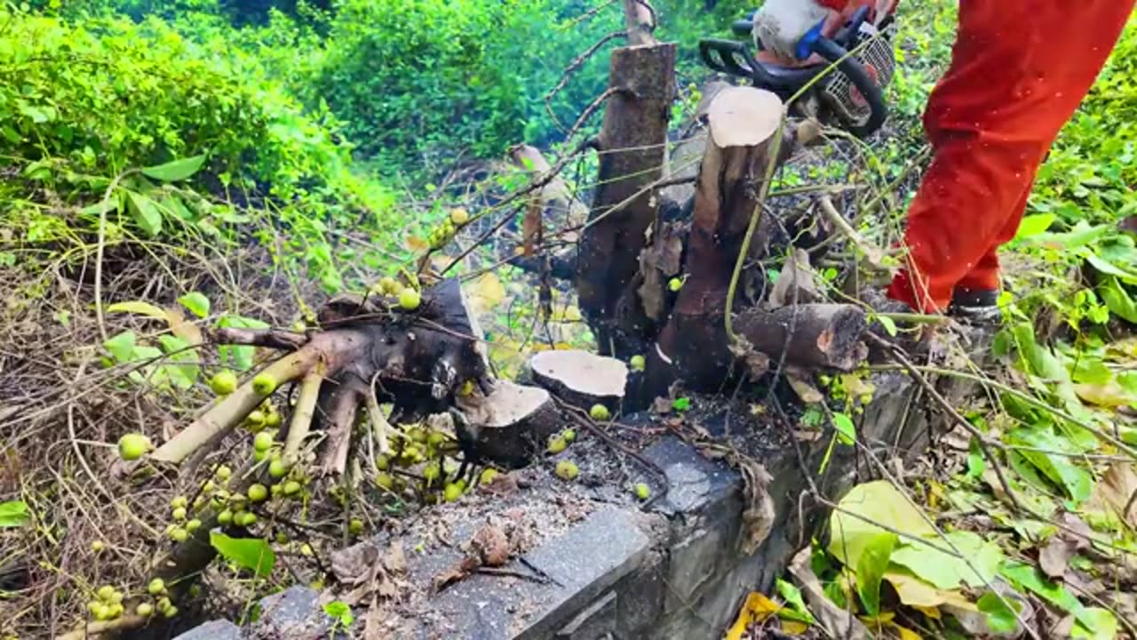 50 Hours of Satisfying Abandoned Mansion Revival in 40 Minutes_part2