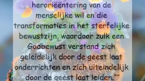 Overlevings Techniek