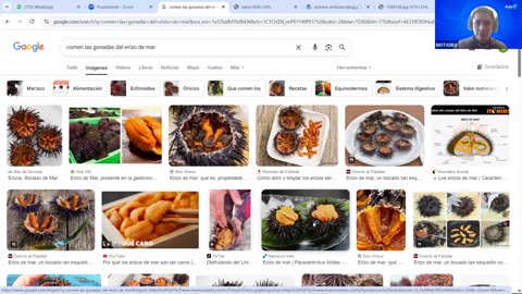 AULA 20 REGULAR 2026 - 1 | Semana 15 | Biología