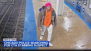 Manhunt underway for this thug who randomly stabbed a female in the chest at a Chicago train station