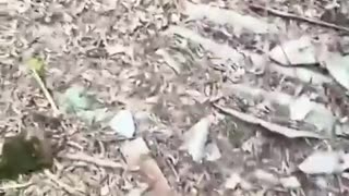 💥🛸 Ukraine Russia War | Ukrainian Soldier Flees FAB Strike | RCF