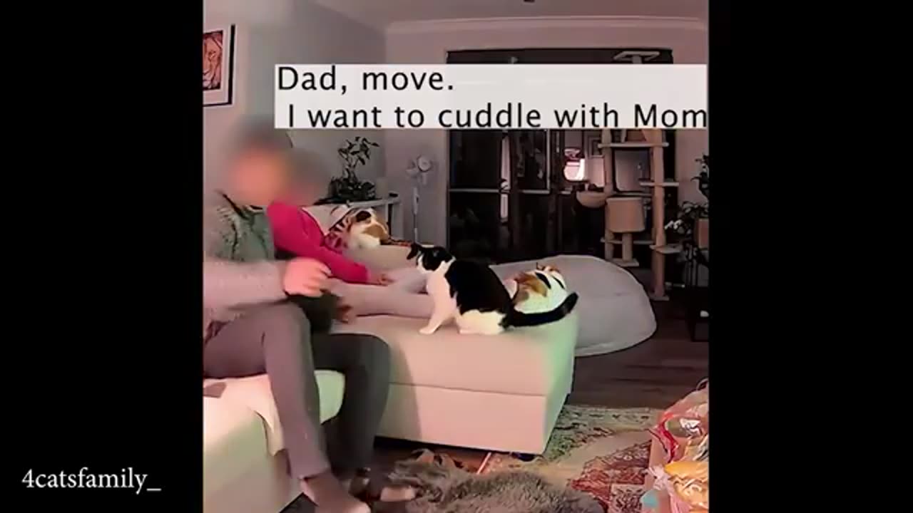 TRY NOT TO LAUGH 😆 Best Funny Videos Compilation 😂😁😆 Memes.