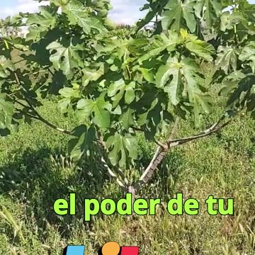 😊 28. LA FE QUE MUEVE MONTAÑAS Lucas 17:6 😊