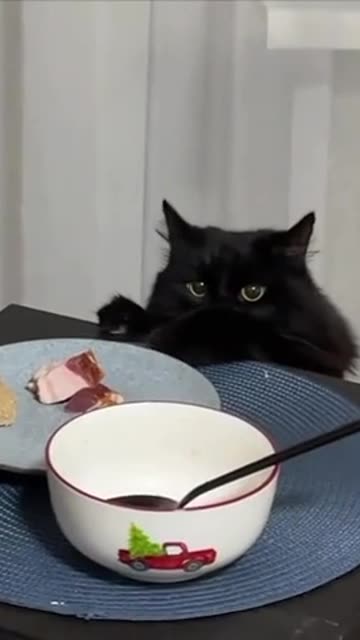 Irresistible delicious bacon 🤣