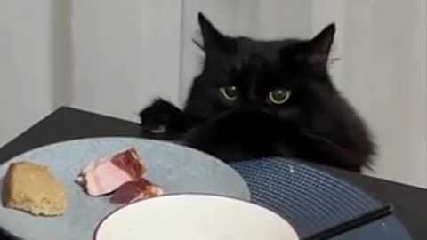 Irresistible delicious bacon 🤣