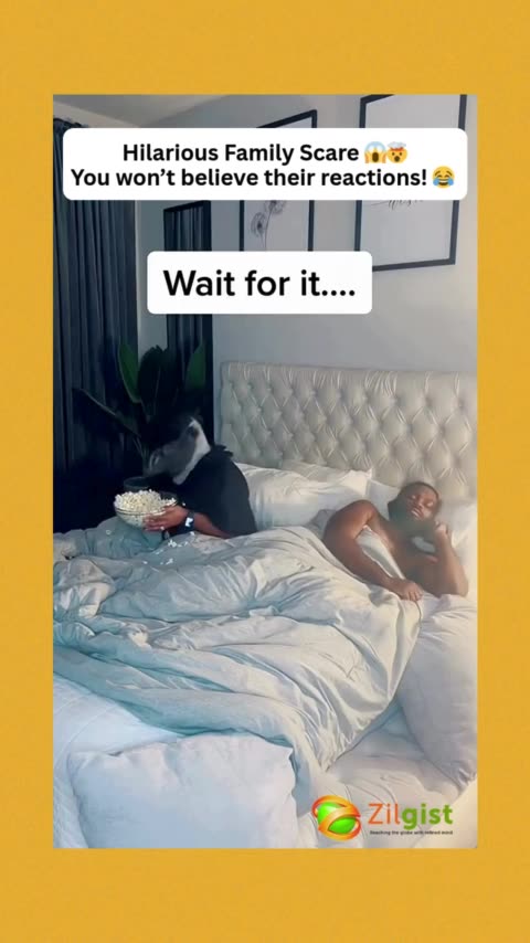 Hilarious Family Scare – You won’t believe their reactions! 😱🤯😂