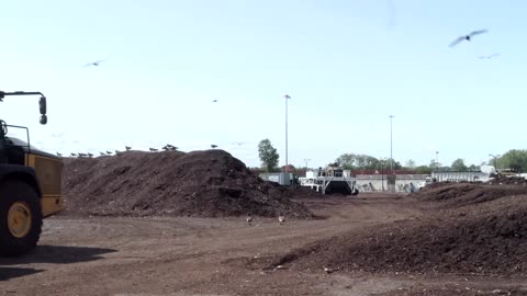NY turns food scraps into 'black gold' to fight climate change