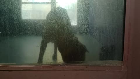 VID_20250503_123101696