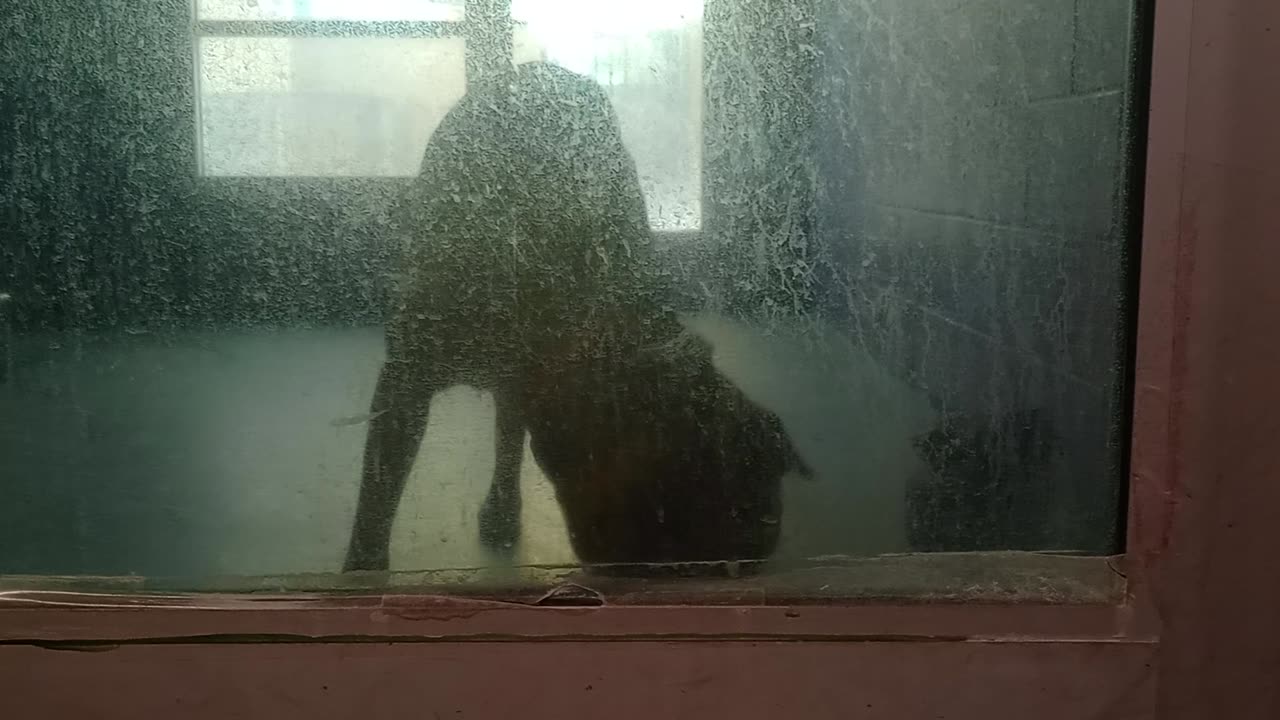 VID_20250503_123101696