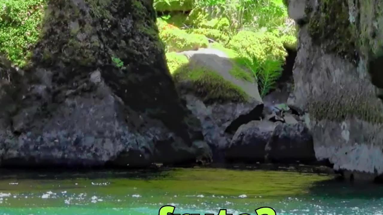 😊 118 MANIFIESTAS CON PALABRA Juan 1:31 😊