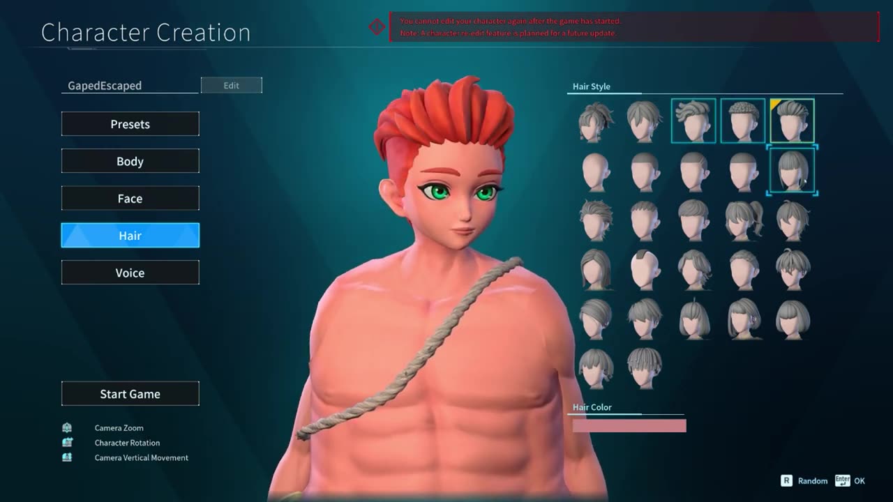 Palworld-Character Creation