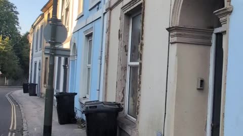 The Catnip Project Update May 2025