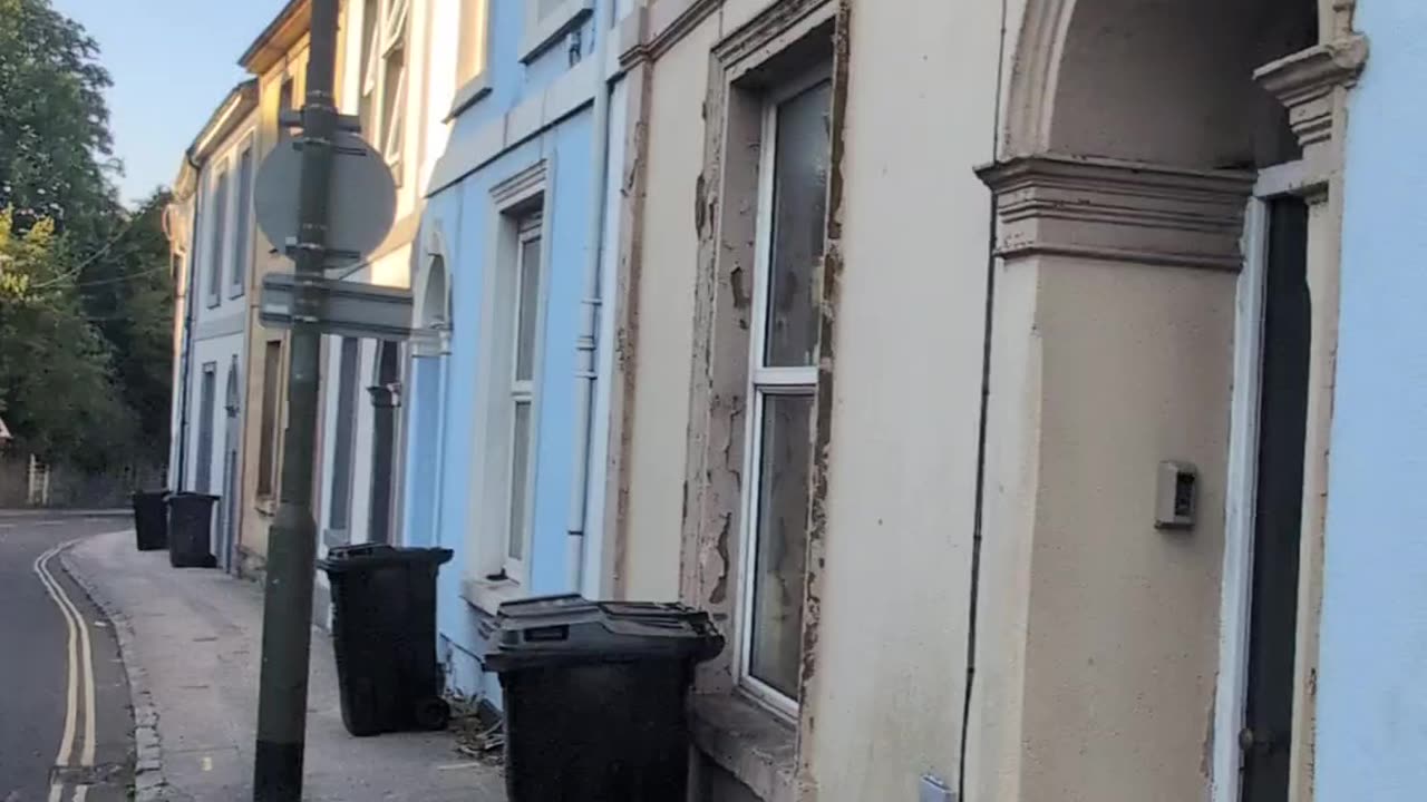 The Catnip Project Update May 2025