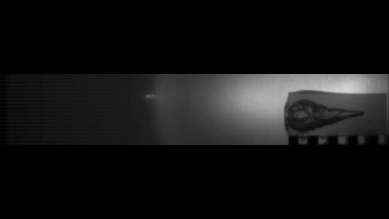 SLOW MOTION 32NAA Federal 65gr Hydra-Shok impacting 20% gelatin