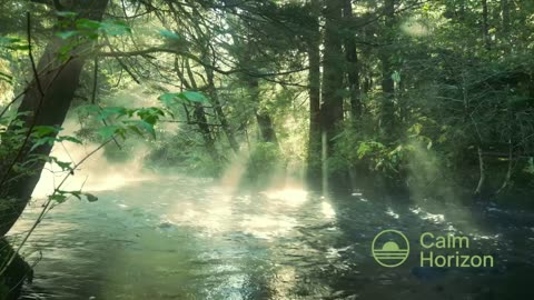 Floating Garden