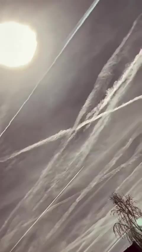 Dis-moi que nous ne sommes pas en GUERRE !